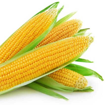 Corn