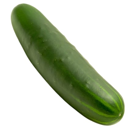 Cucumber