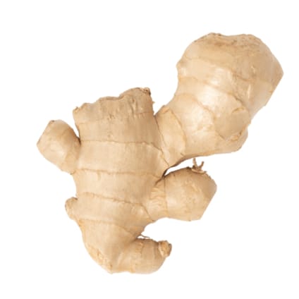 Ginger