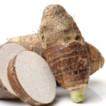Malanga