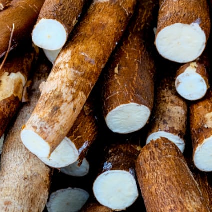 Yuca